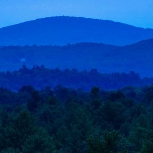 Meet your Posher, Lynette